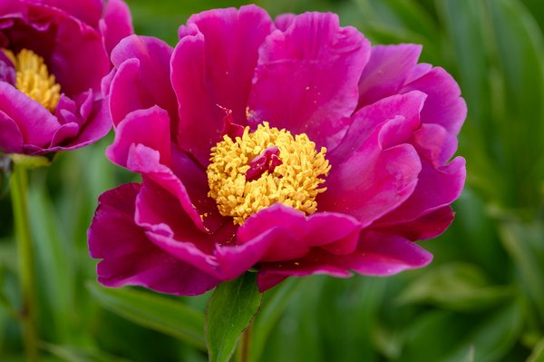 Concours de dessin écologique pour enfants : votre guide créatif pour inspirer les jeunes artistes